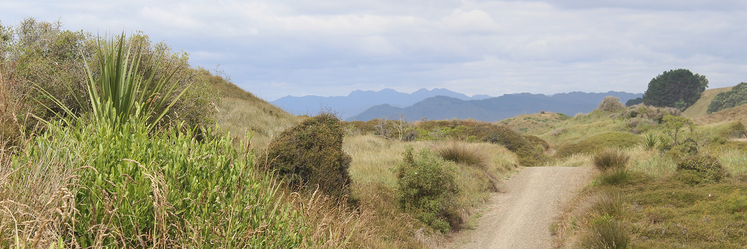 Opotiki