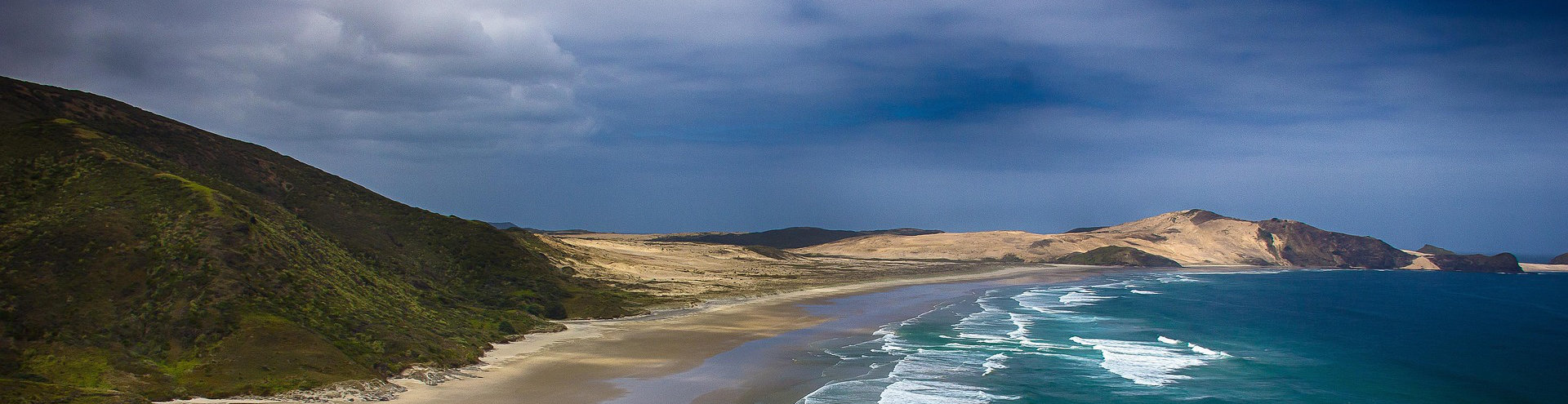 NZ beach 1