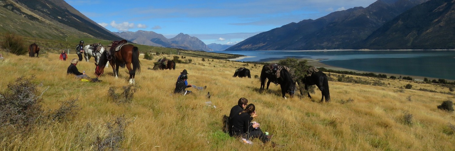 Lake Hawea horse trekking
