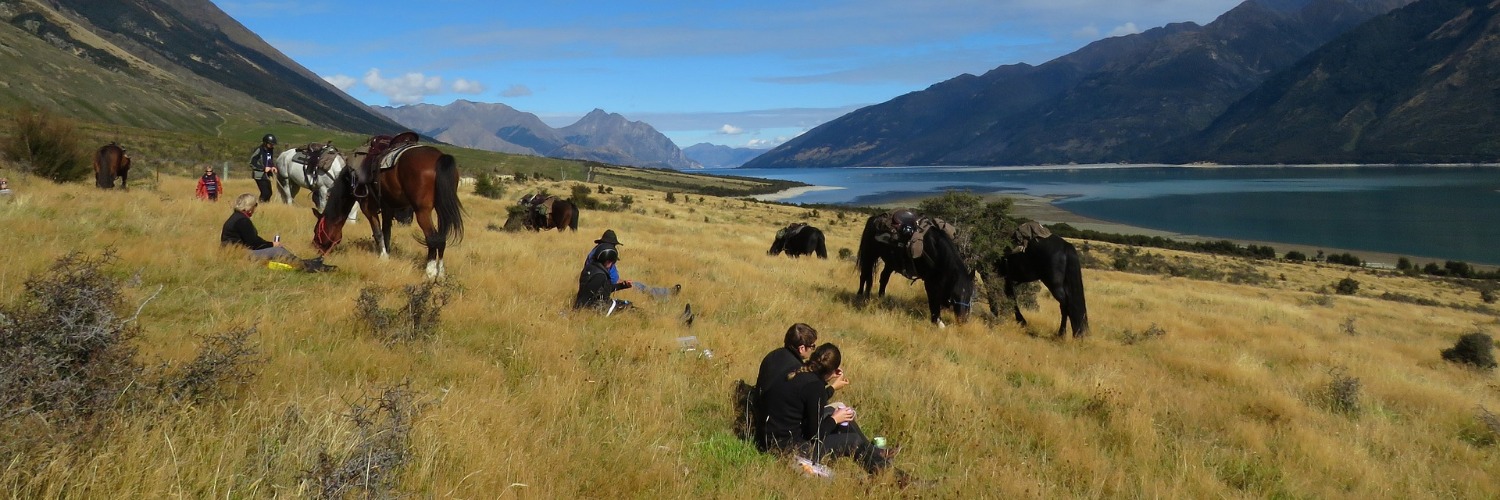 Lake Hawea horse trekking