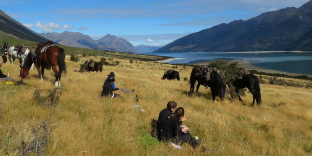 Lake Hawea horse trekking