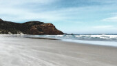 Sandfly Bay Beach Otago