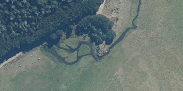 Steyning Spring Magdalen Valley