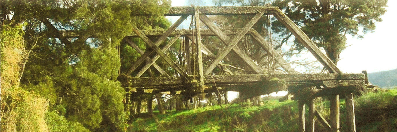 Sir Truby King Bridge