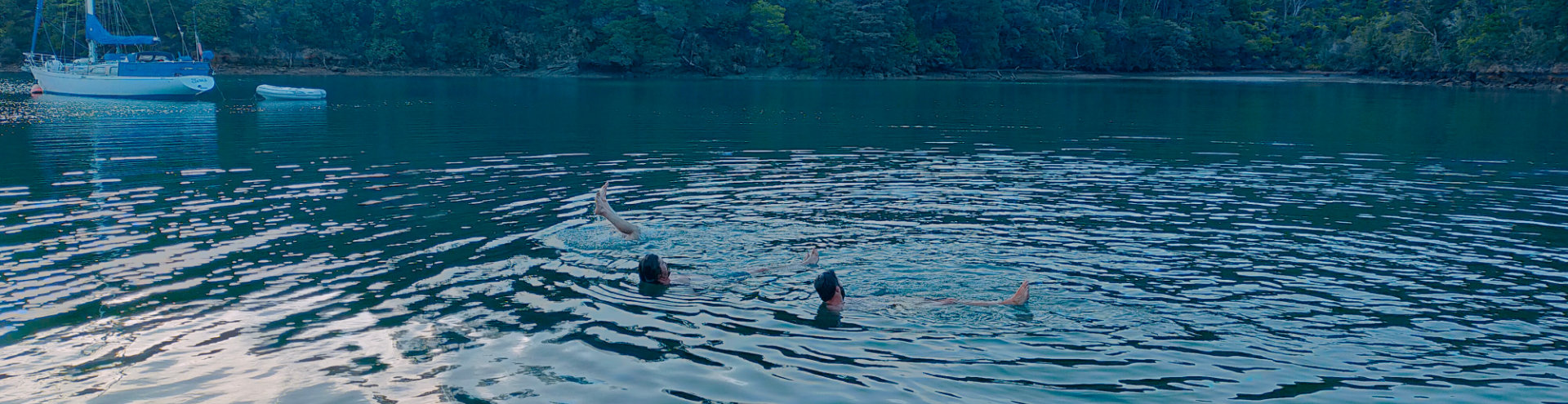 Swimming in Marlborough Sounds