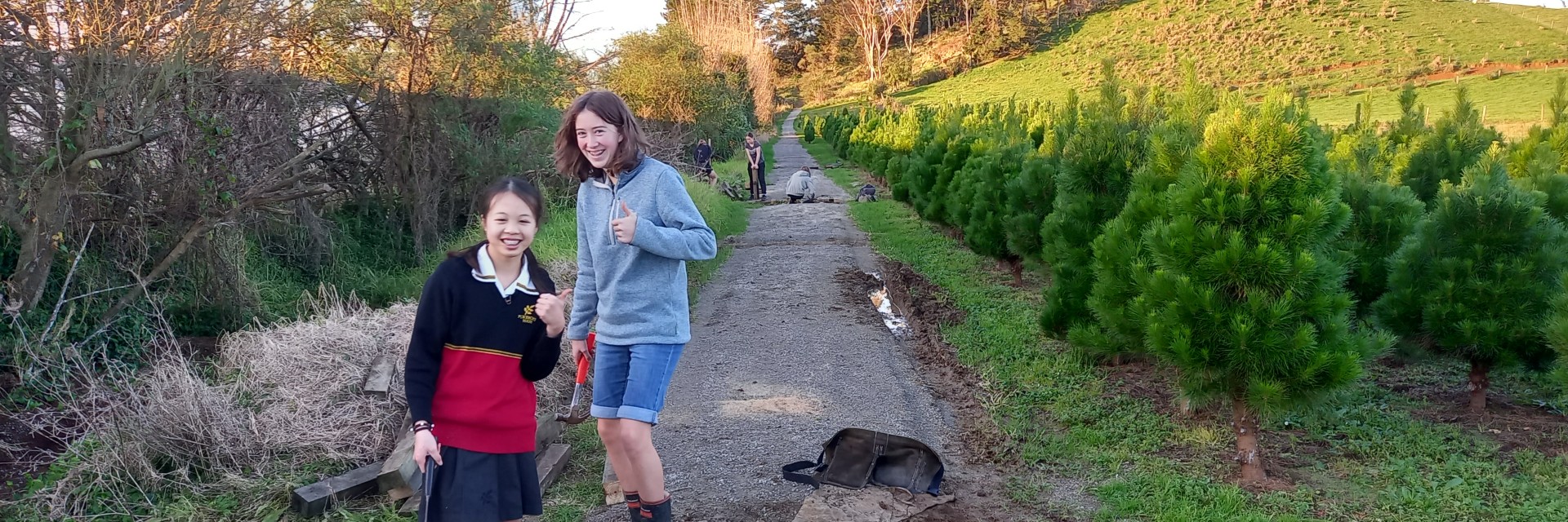 Trail bridge building Duke of Ed Pukekohe HIgh School