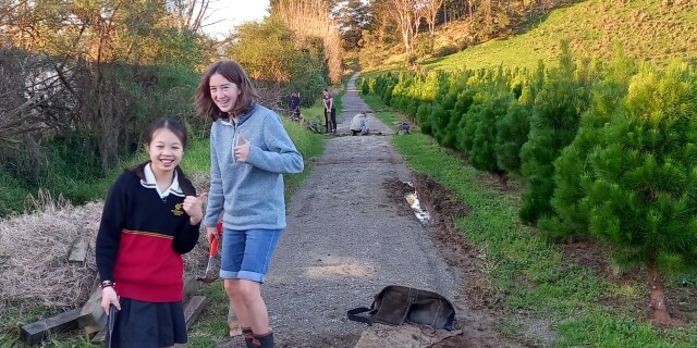 Trail bridge building Duke of Ed Pukekohe HIgh School