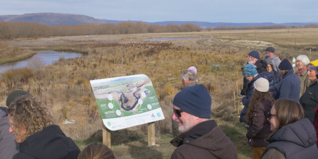 WIlson Road Community Site   Taiari Scroll Plain