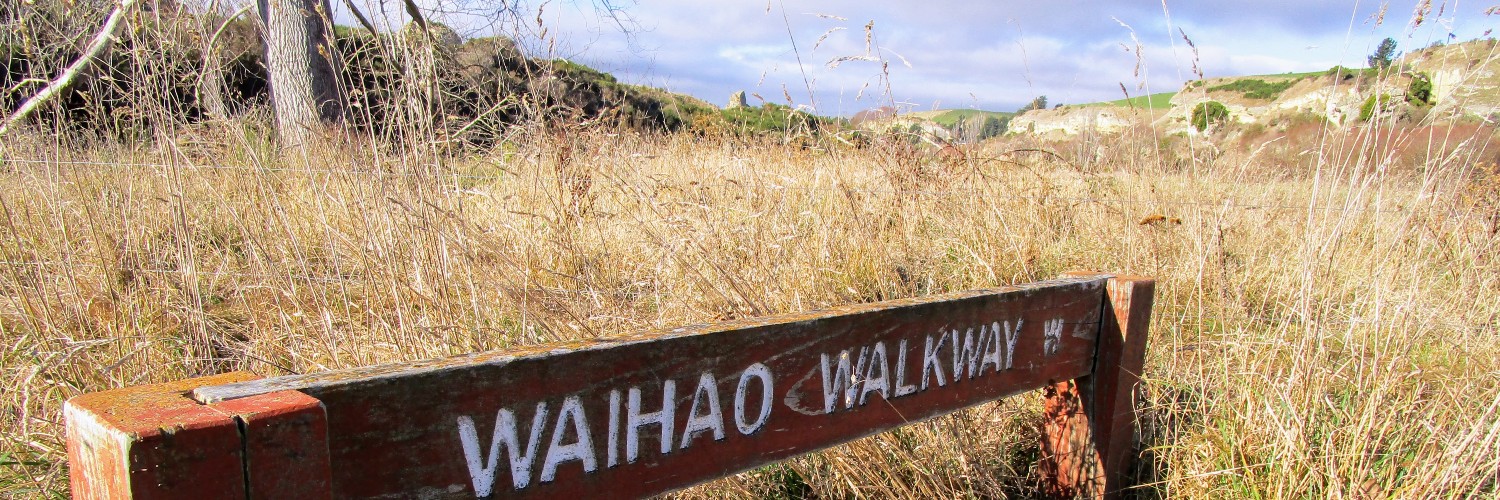 Waihao Walkway