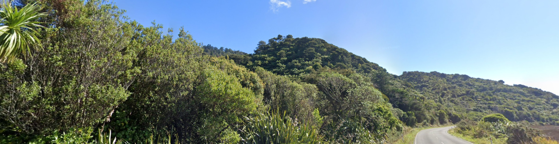 Wainui Bay google screenshot