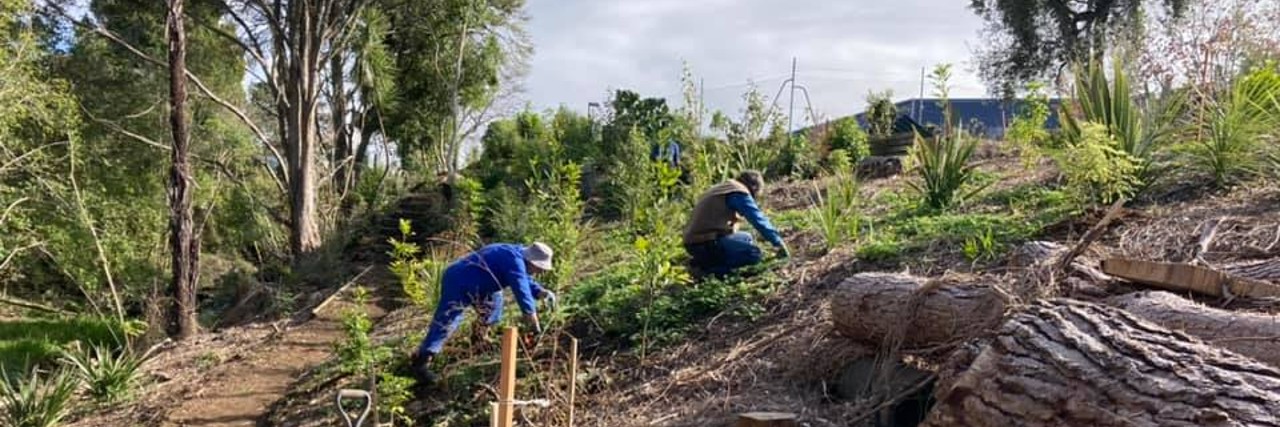 Wairoa Stream Track v2