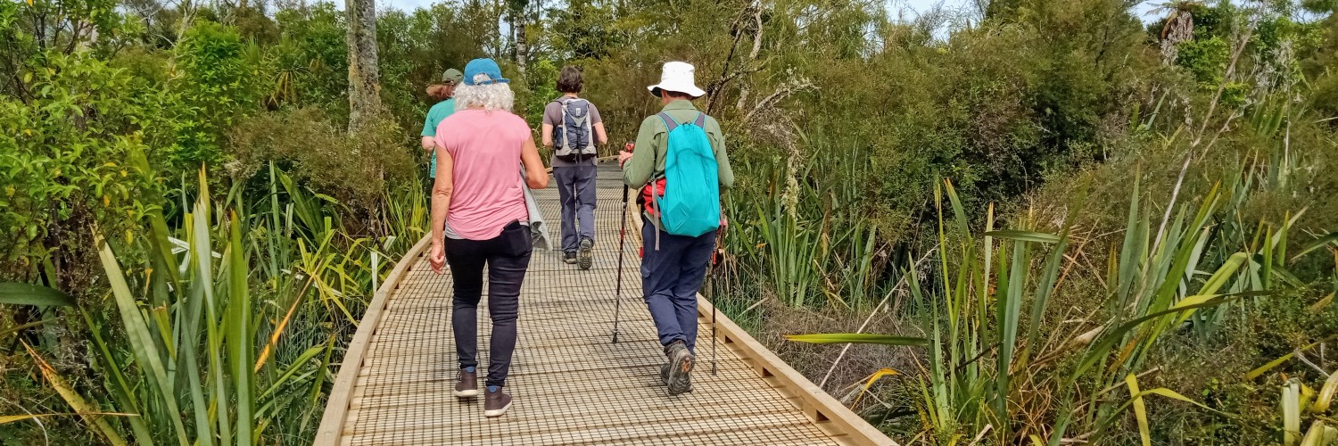 Walking for mental health