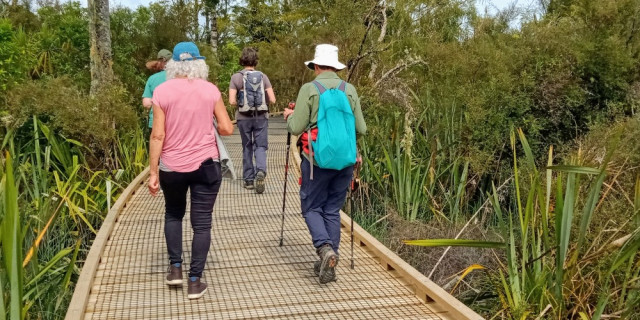 Walking for mental health