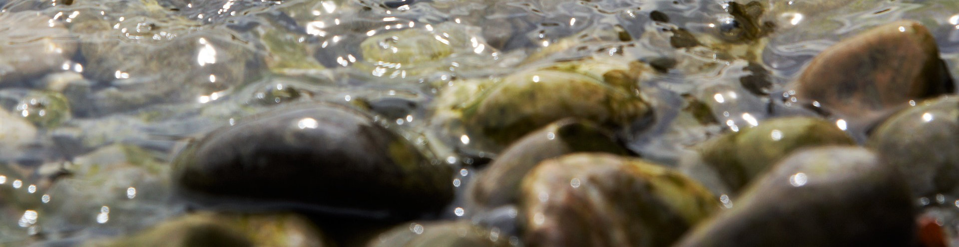 Water and stones