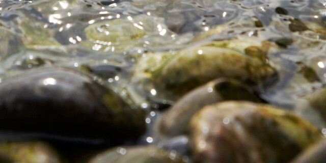 Water and stones