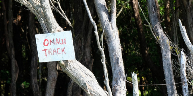 Omaui Track 5