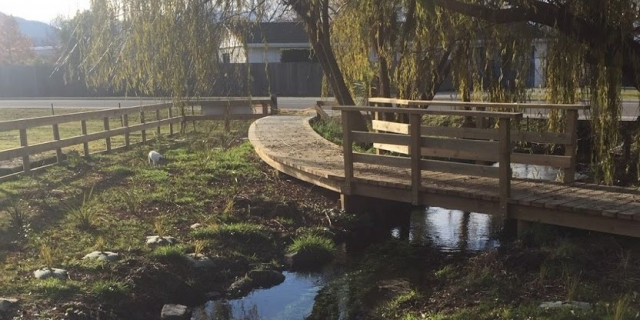 Bullock Creek, Wānaka