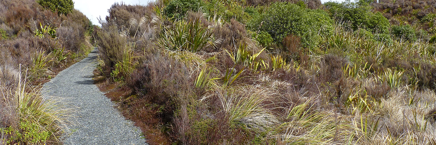 Mounds Walk Tongariro National Park New Zealand 7