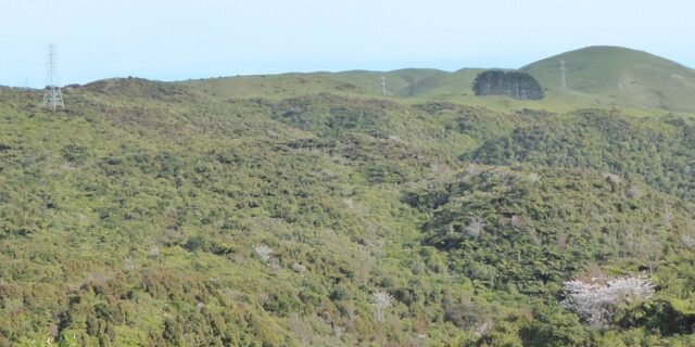 Belmont Reserve