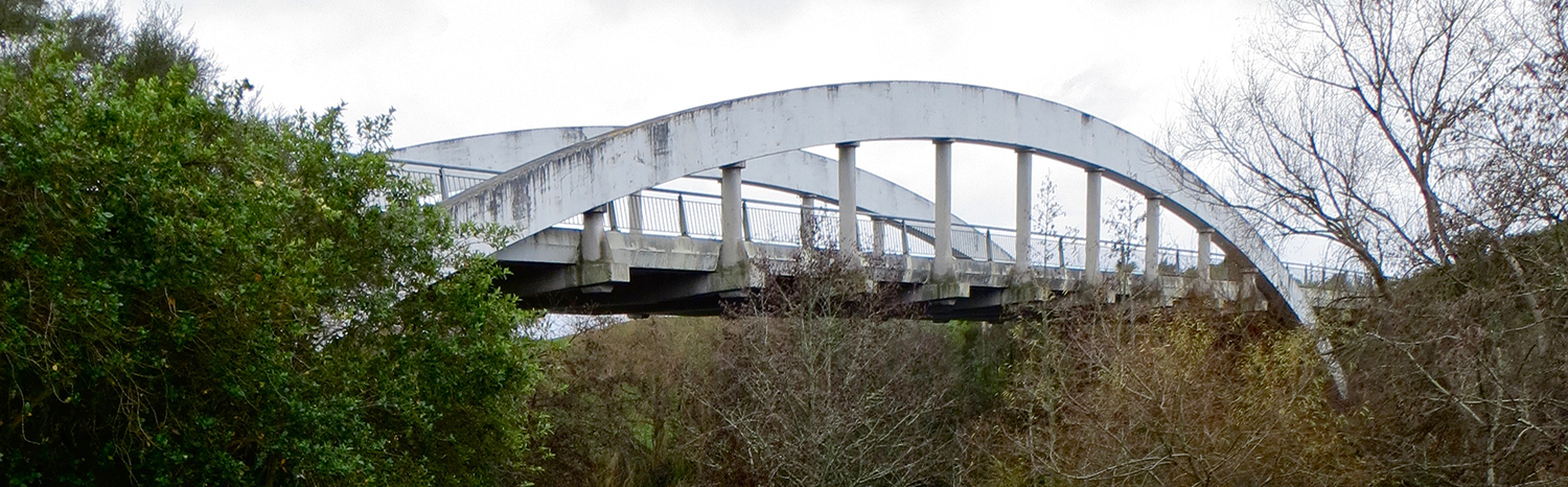 Te Awa River Ride at Horotiu bridge