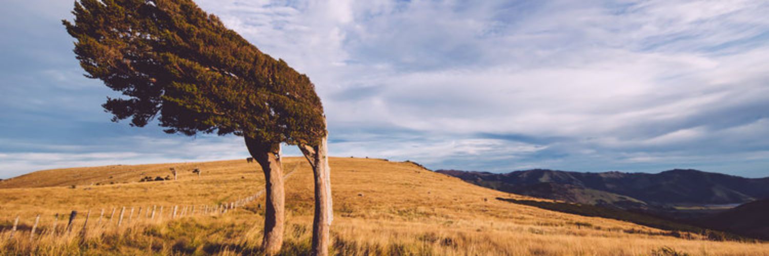 Track to Rod Donald Hut Banks Peninsula