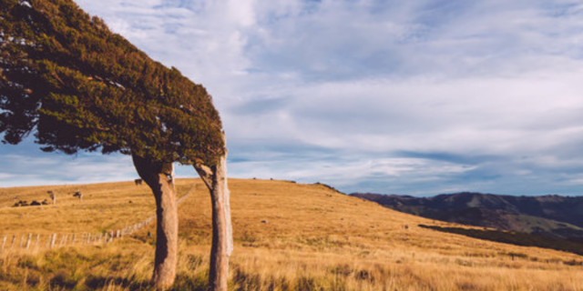 Track to Rod Donald Hut Banks Peninsula