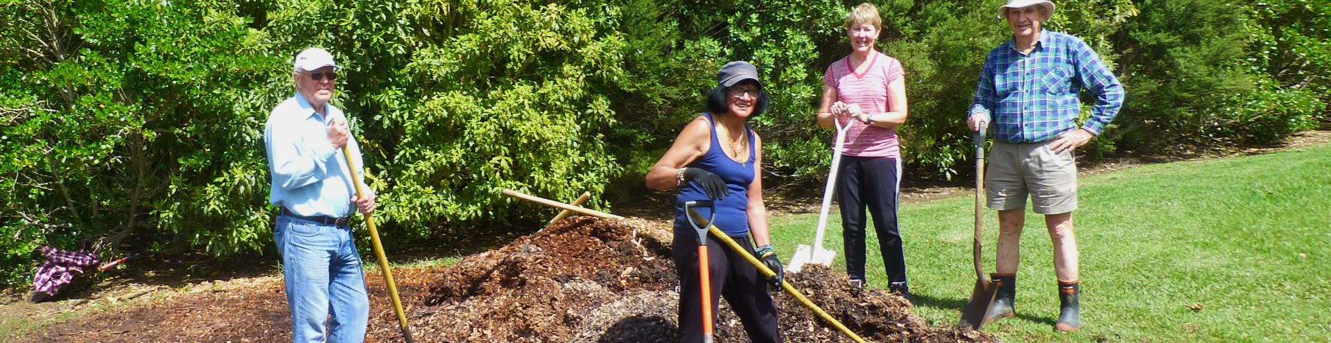 group shovels woodchip