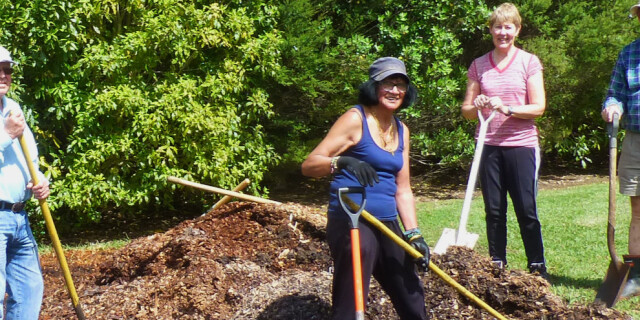 group shovels woodchip