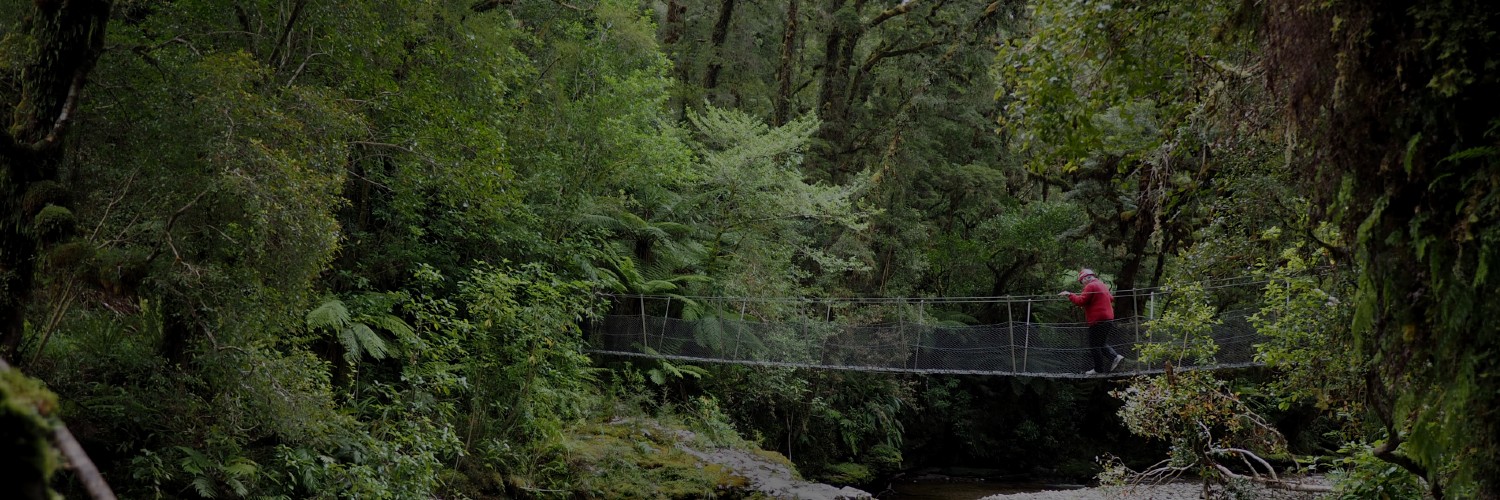 home hero herenga launch bridge 1500x500