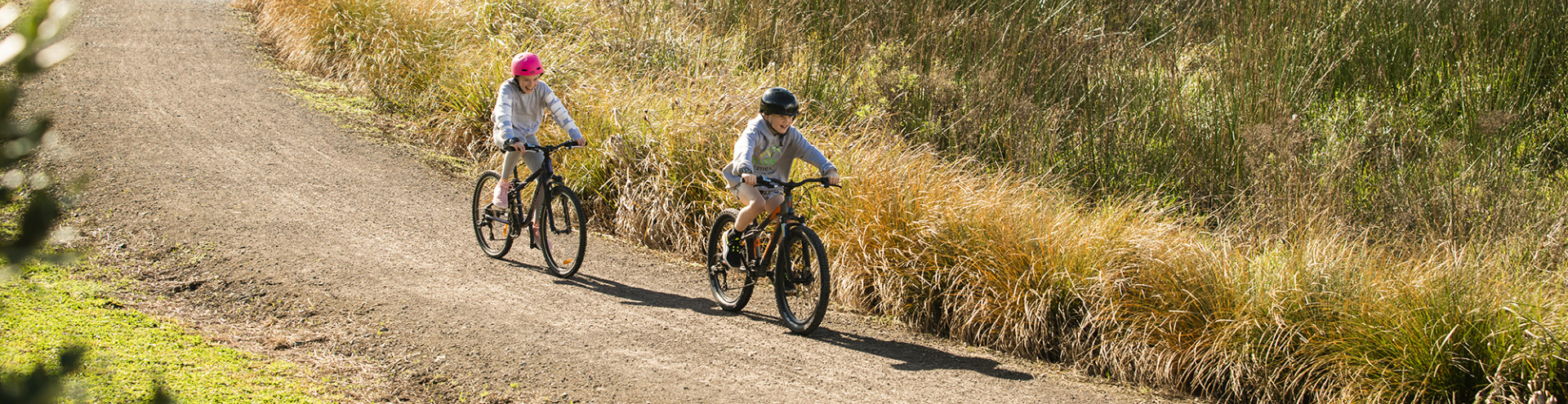 omokoroa cycleway crop