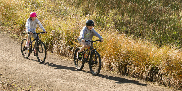 omokoroa cycleway crop