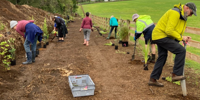 planting along track winter 2021 1