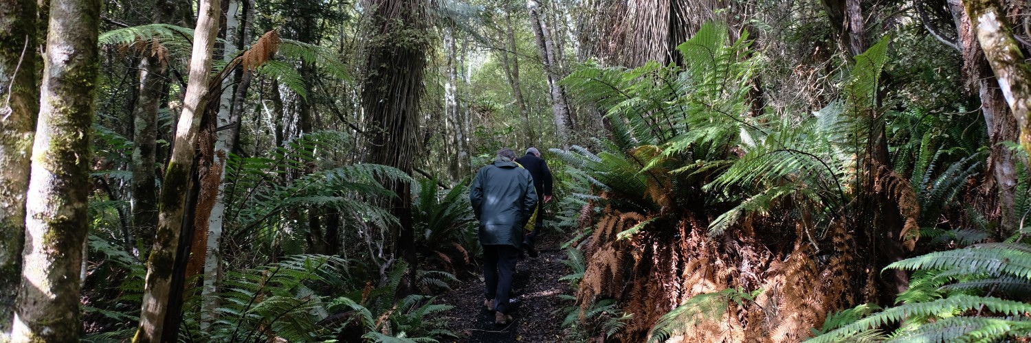 stewart Island