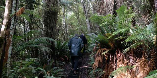 stewart Island