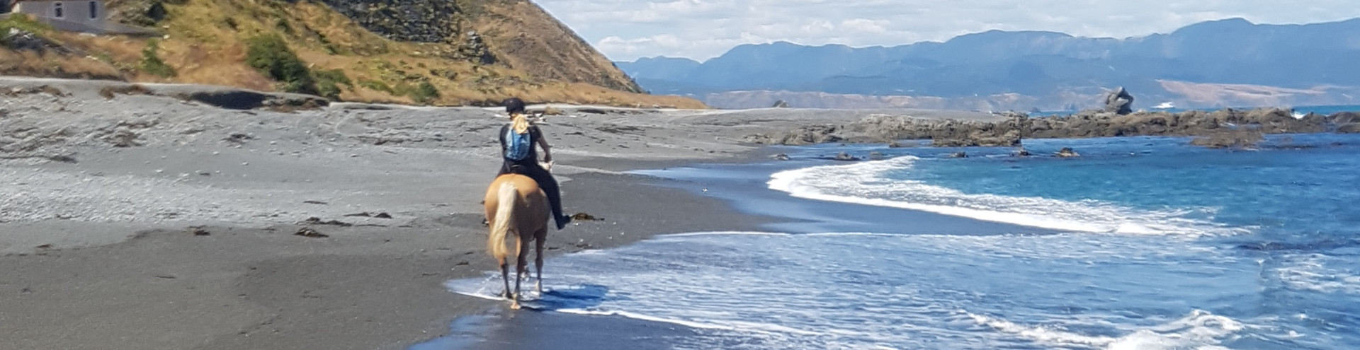 Horse ride at Te Kopahou