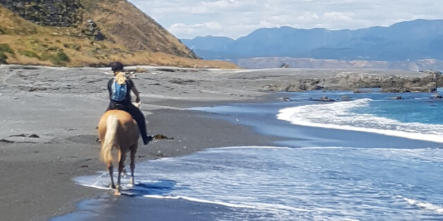 Horse ride at Te Kopahou