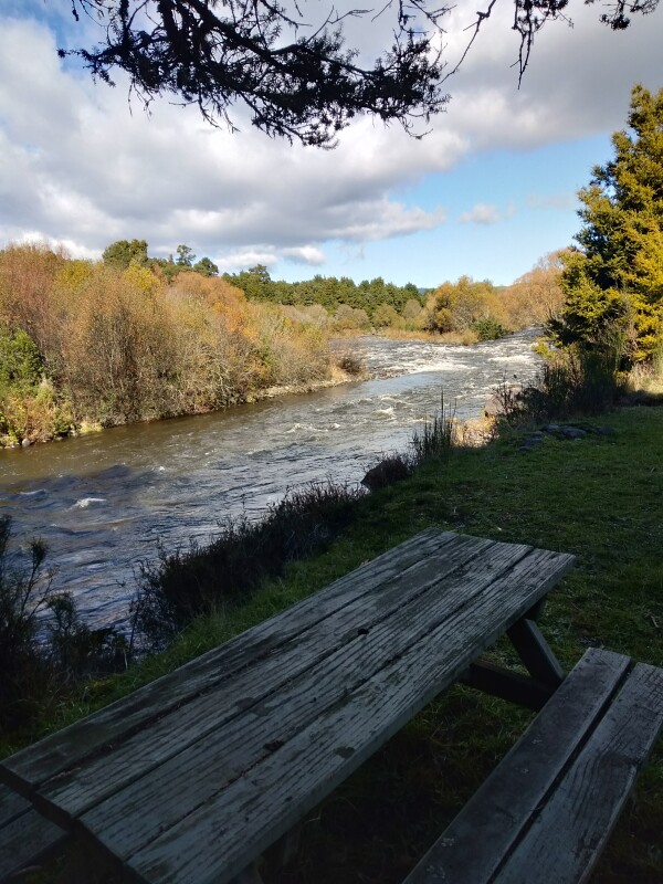 Whakapapa River on Stone Jug access. Credit Fish & Game