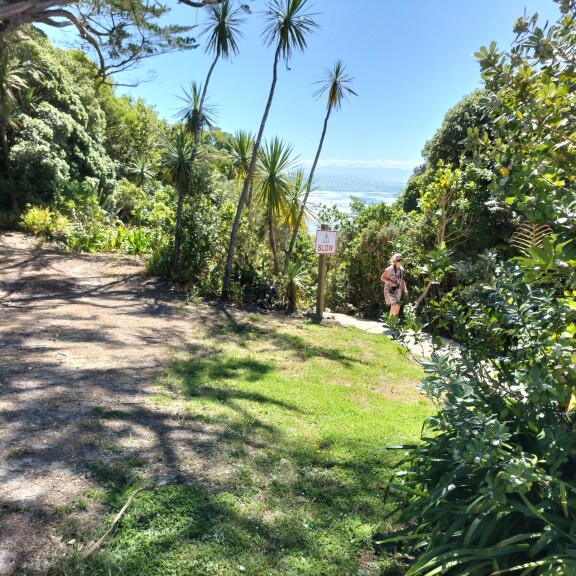 Kawatiri Coastal Trail Opening 2023