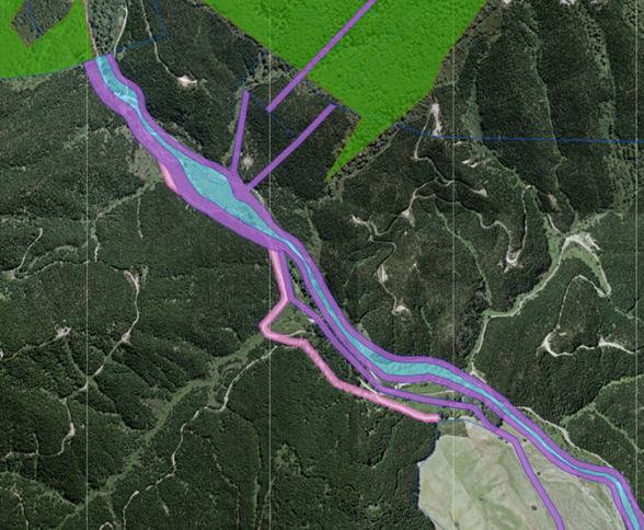 Map 4: example showing PAE that has been depicted in the cadastre (highlighted pink) (PAE 3 Pine Valley, OneFortyOne Plantations). 