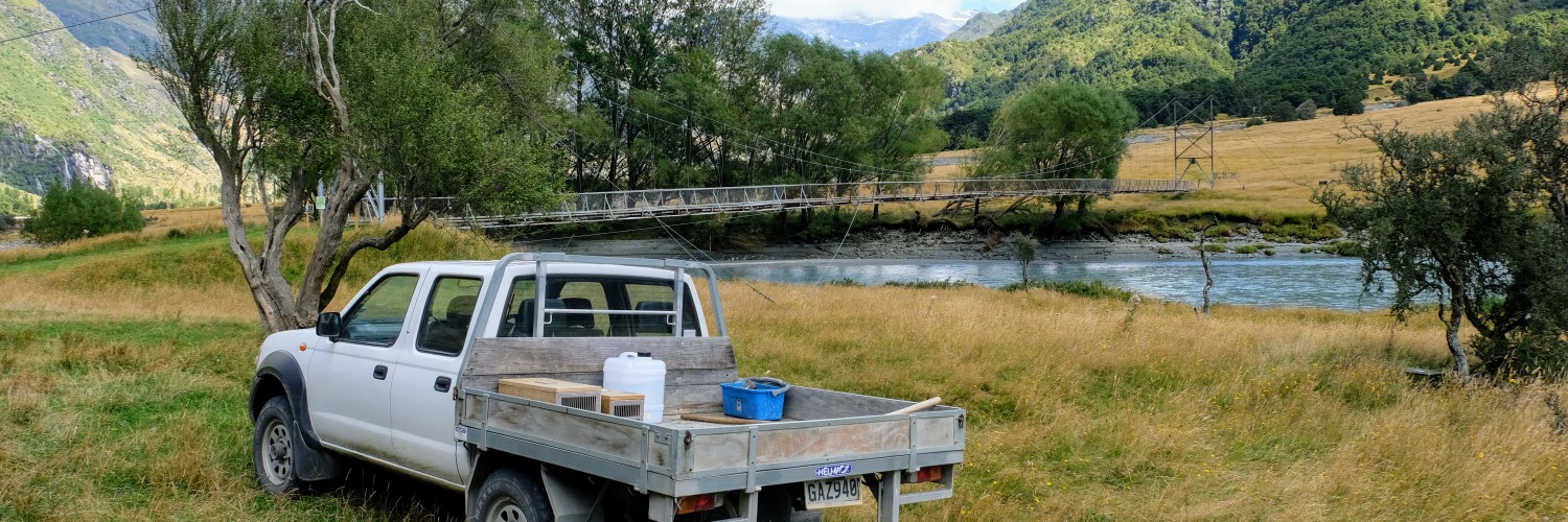 Farm ute on Matukituki Valley