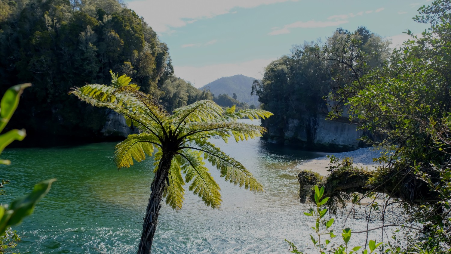 Mokihinui River