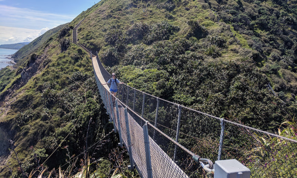 Paekakariki Escarpment Track