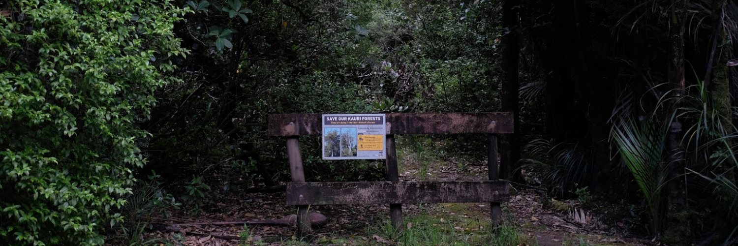 Kauri Dieback