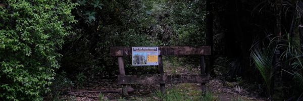 Kauri Dieback