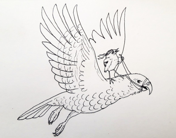 Drawing of a rock wren riding a kea