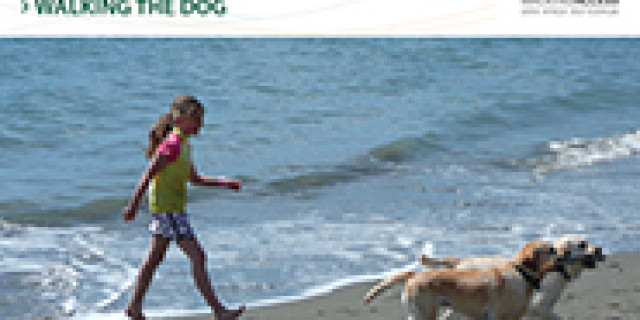 Walking the Dog
