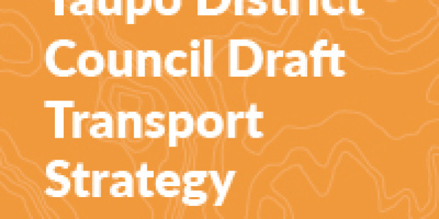Submission on Taupo District Council Draft Transport Strategy 100