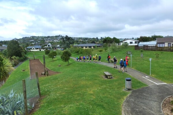 Pukekohe 5 Summits Trail