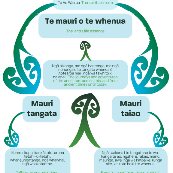 Te Mauri o te Whenua diagram