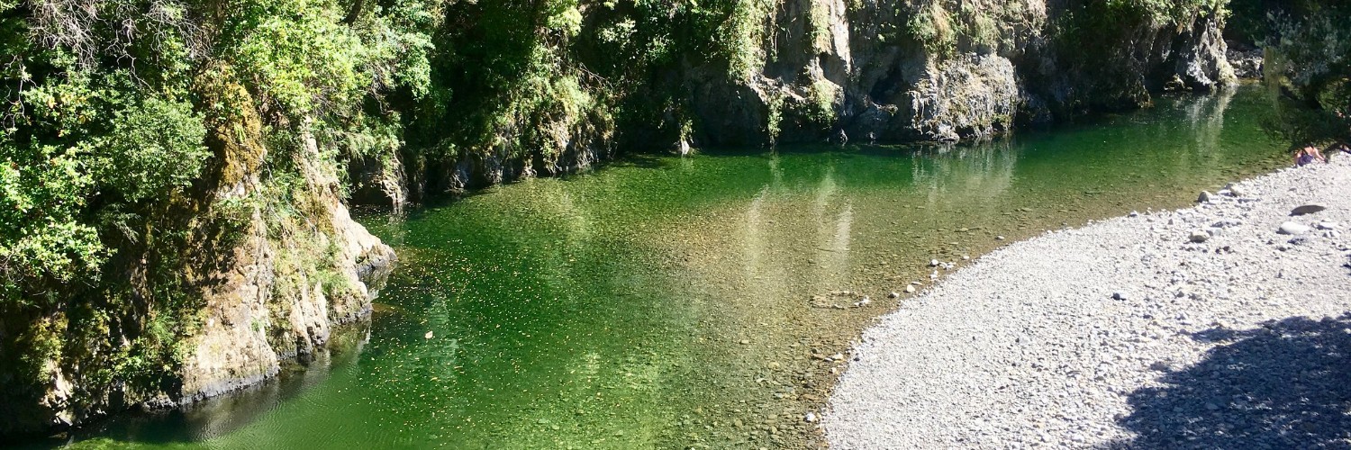 Hutt River in Kaitoke Regional Park